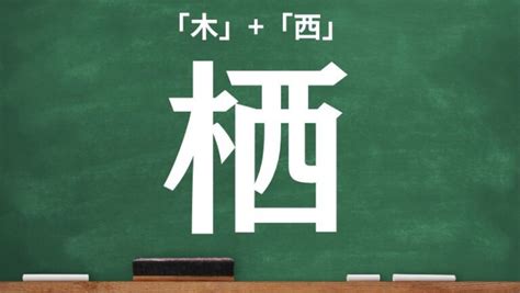 木象|木へんに象で「橡」の読み方とは？使い方など簡単に解釈 